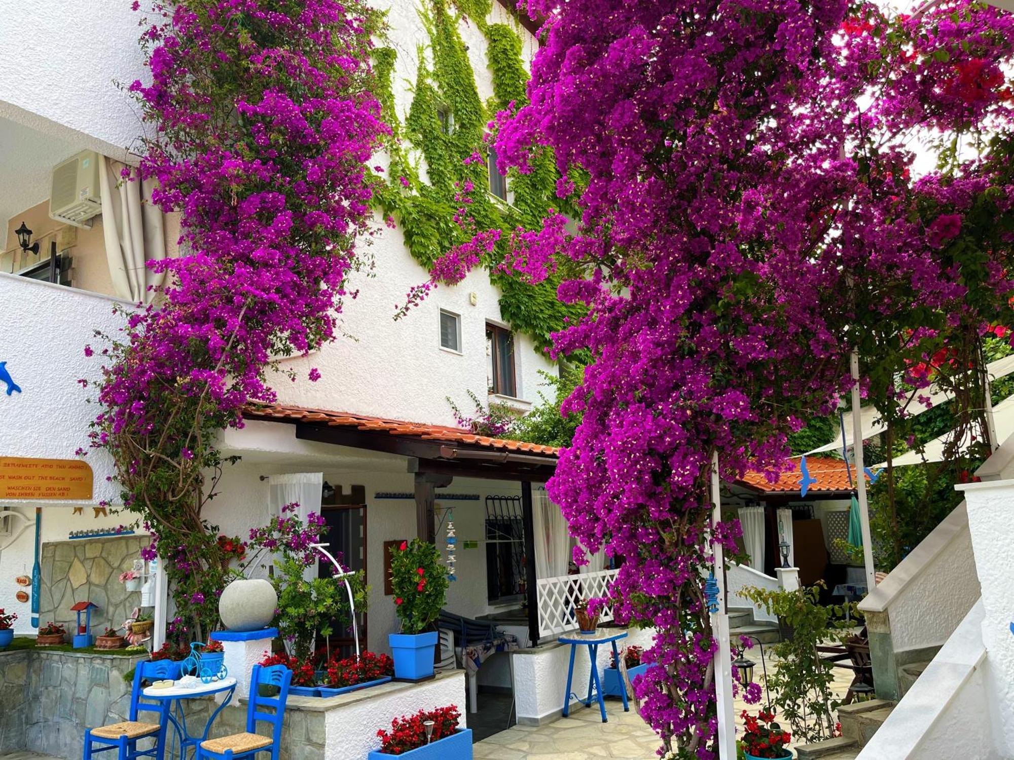 Haus Niko Apartments And Suites Nea Poteidaia Ngoại thất bức ảnh